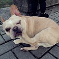 DSCN6504.JPG