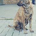 DSCN6506.JPG