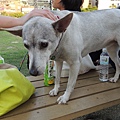 DSCN6508.JPG