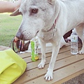 DSCN6509.JPG