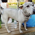 DSCN6511.JPG