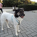 DSCN6513.JPG