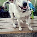 DSCN6514.JPG