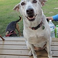 DSCN6516.JPG