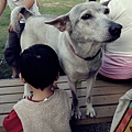 DSCN6517.JPG