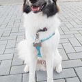 DSCN6519.JPG