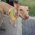 DSCN6521.JPG