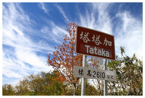 三月的阿里山 塔塔加 那些在路上的小日子 痞客邦