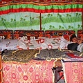 47-IMG_5978