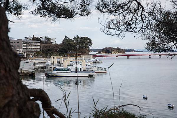 2020 日本東北冬遊記 DAY5 食在仙台-大啖牡蠣&牛舌