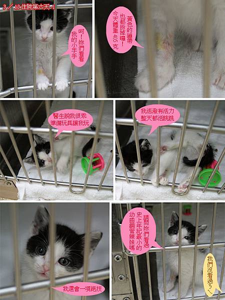 61住院第6天.jpg 61住院第6天.jpg