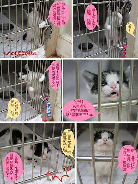 62住院第6天-2.jpg 62住院第6天-2.jpg