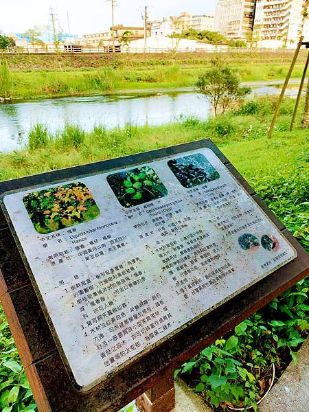 心旅行-煙波大飯店蘇澳四季雙泉館在地慢旅