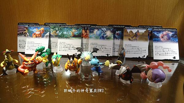 圖片5.jpg 圖片5.jpg