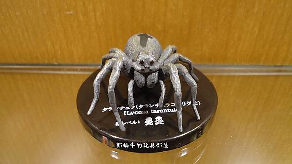 郭蝸牛的玩具部屋 毒蜘蛛圖鑑 郭蝸牛藥師的異想世界與玩具部屋 痞客邦 郭蝸牛的玩具部屋 毒蜘蛛圖鑑 郭蝸牛藥師的異想世界與玩具部屋 痞客邦