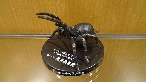 郭蝸牛的玩具部屋 毒蜘蛛圖鑑 郭蝸牛藥師的異想世界與玩具部屋 痞客邦 郭蝸牛的玩具部屋 毒蜘蛛圖鑑 郭蝸牛藥師的異想世界與玩具部屋 痞客邦