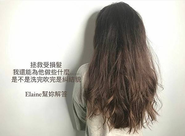 │髮記│拯救受損髮-自己判斷頭髮的受損程度處在幾度呢?健康-