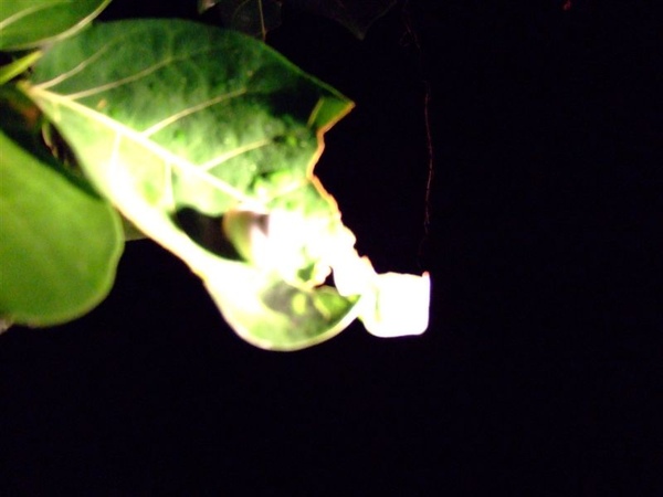 DSCF5912.JPG