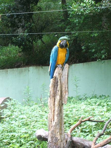 多摩動物園 068.jpg