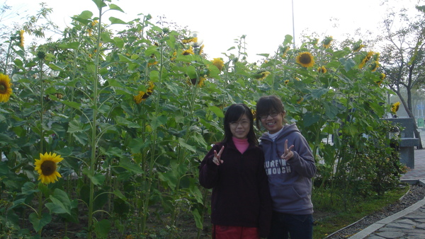 照片2009年1月22日 019.jpg