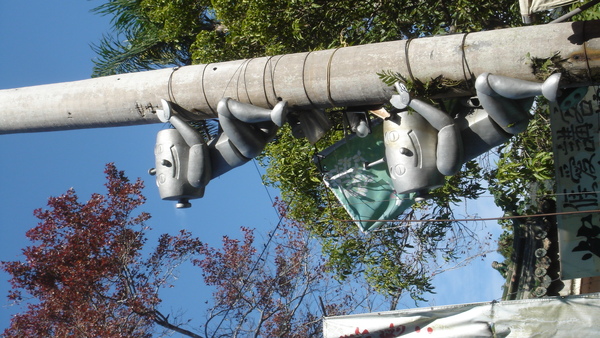 照片2009年1月22日 053.jpg