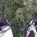 照片2009年1月22日 129.jpg