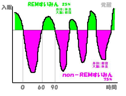 20080523001131.jpg