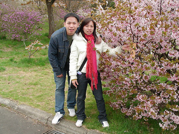 青葉山岡公園賞櫻3.jpg