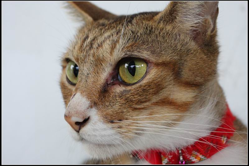猴硐13 猴硐13