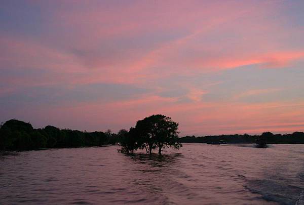 洞里薩湖(Tonle Sap)31