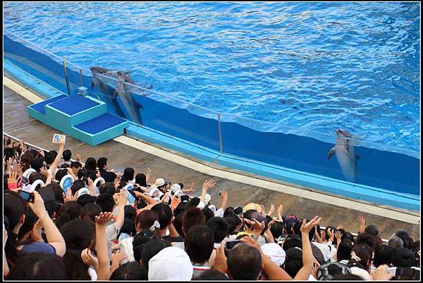 遠雄海洋公園08