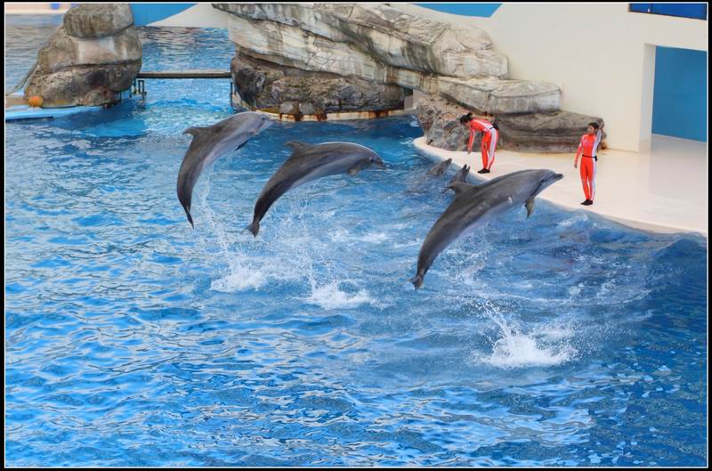 遠雄海洋公園09 遠雄海洋公園09