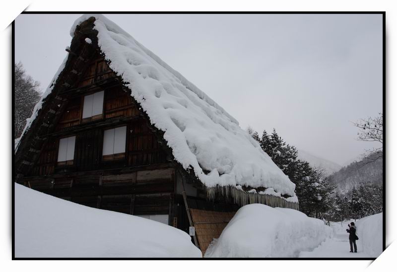 白川鄉(Shirakawa-go)43