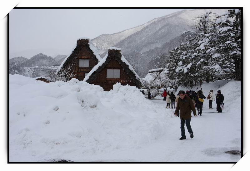 白川鄉(Shirakawa-go)51