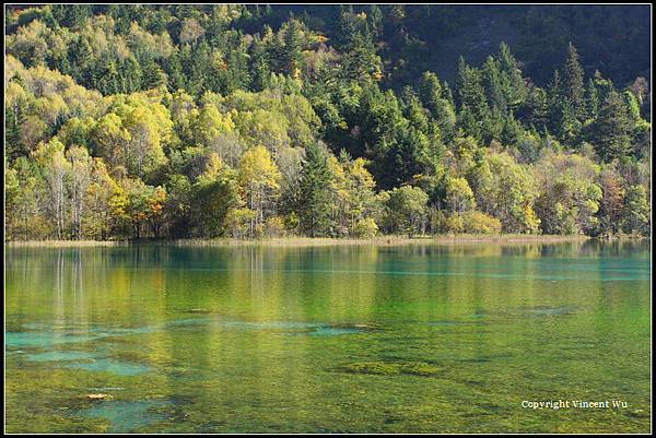 九寨溝(Jiuzhaigou)049