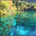 九寨溝(Jiuzhaigou)051