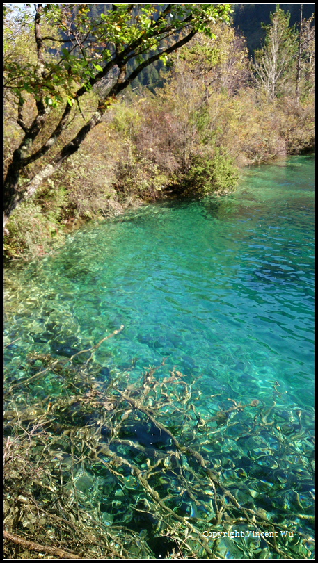 九寨溝(Jiuzhaigou)070