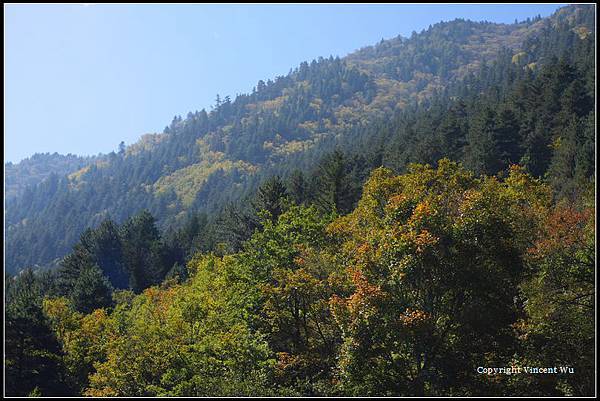 九寨溝(Jiuzhaigou)094