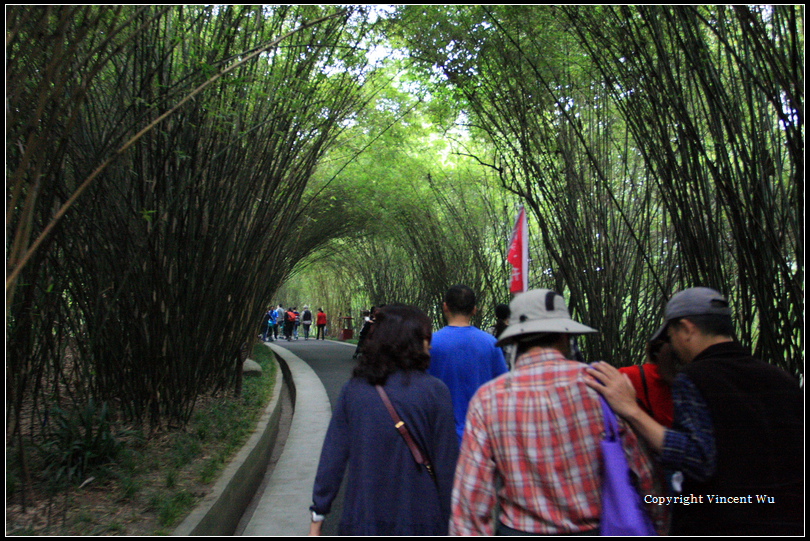 成都大熊貓繁育研究基地(CHENGOU RESEARCH BASE OF GIANT PANDA BREE)02