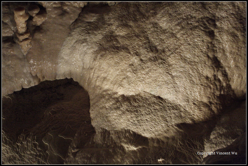 自然橋岩洞(Natural Bridge Caverns)39