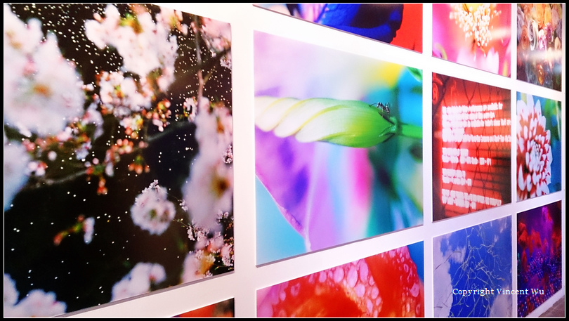 蜷川實花展02 蜷川實花展02