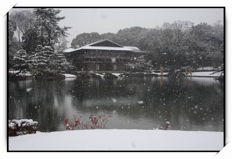 徳川園(Tokugawaen)12 徳川園(Tokugawaen)12