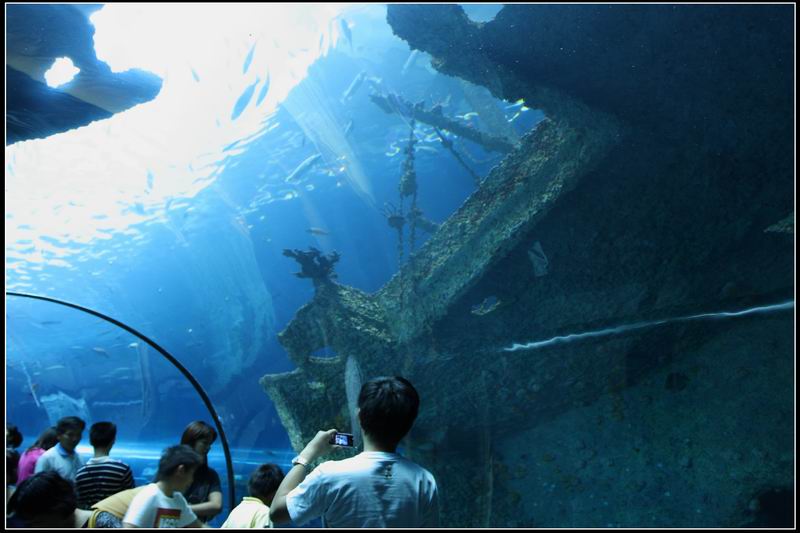 國立海洋生物博物館10