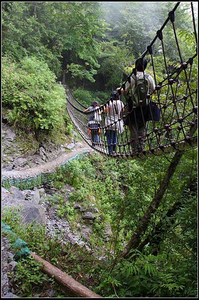 檜山巨木群步道01