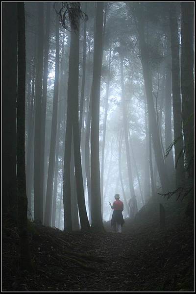 檜山巨木群步道12