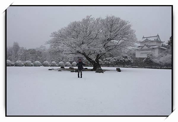 名古屋城(Nagoya Castle)12