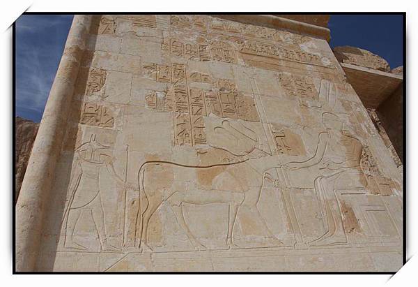 哈茲普蘇特女王祭殿(Mortuary Temple of Hatshepsut)28