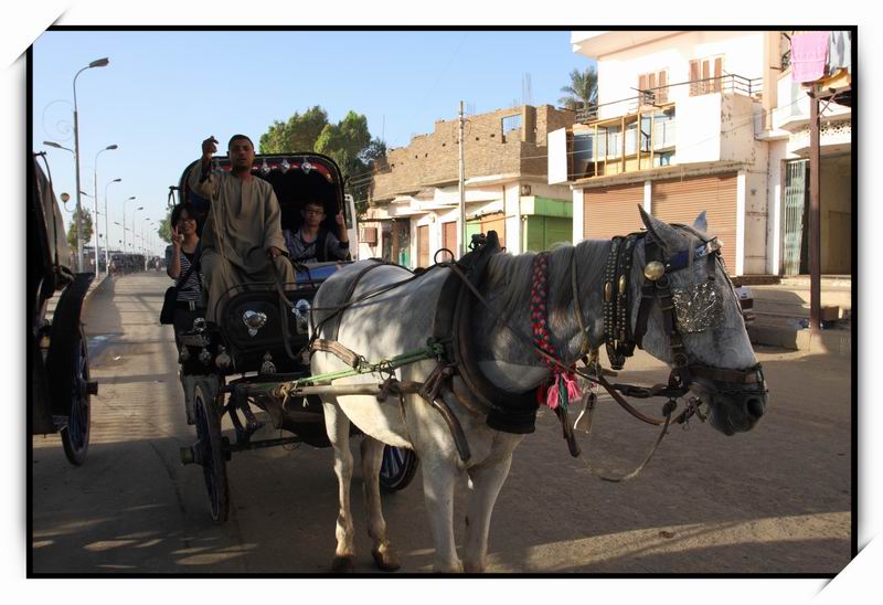 艾德芙神殿(Temple of Edfu)01 艾德芙神殿(Temple of Edfu)01