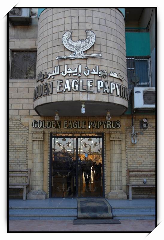 開羅(Cairo)Golden Eagle Papyrus01 開羅(Cairo)Golden Eagle Papyrus01
