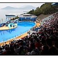 海洋公園(Ocean Park)37